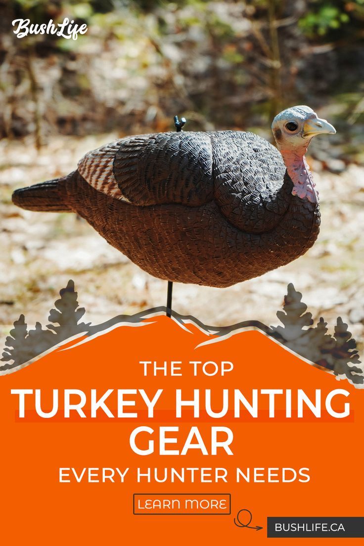 The top turkey hunting gear every hunter needs – Artofit