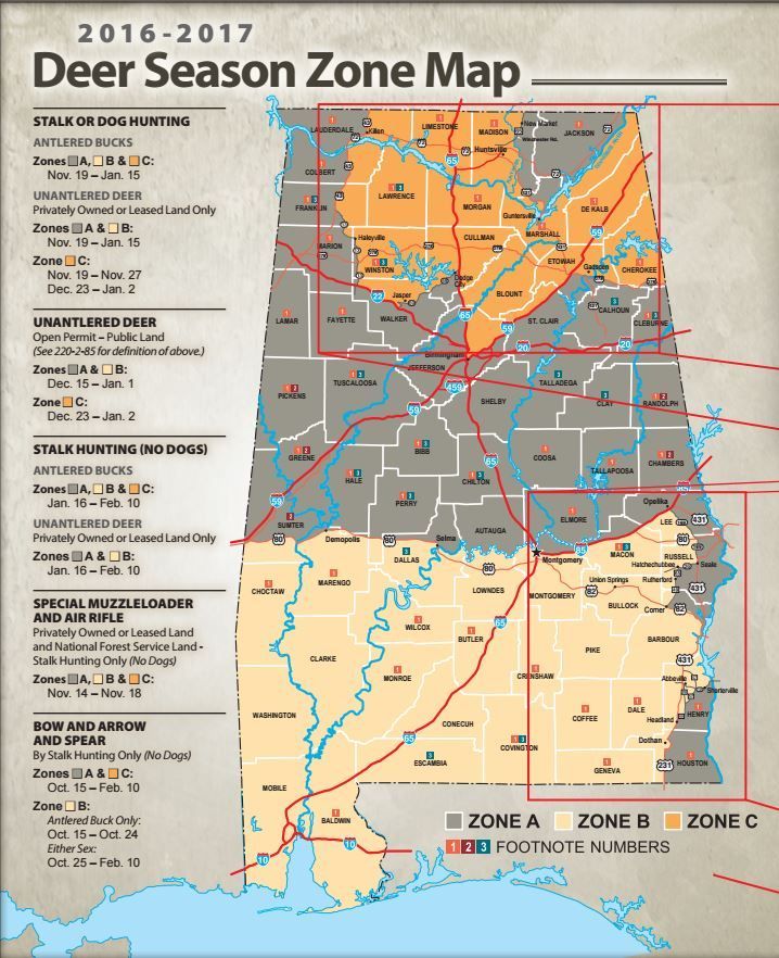 Alabama Hunting Laws and Regulations | Deer season, Hunting, Alabama