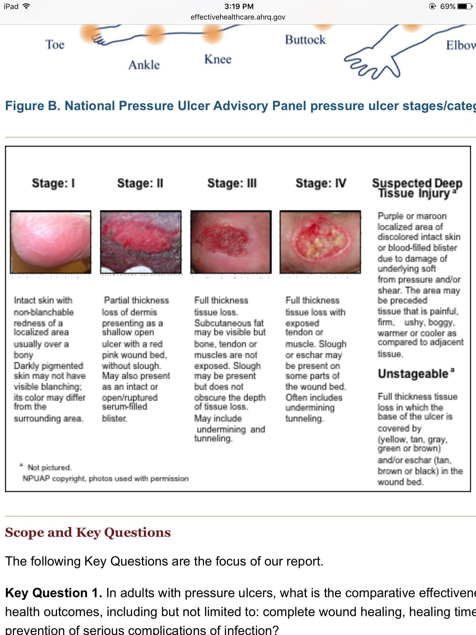 Wound care guideline part 3 pressure wound dressing – Artofit