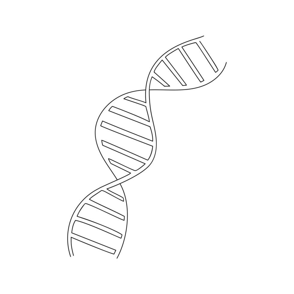 DNA molecule drawn in one line. Spiral sketch. Continuous line drawing ...