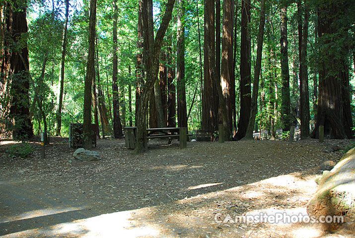 Big Basin Redwoods State Park - Campsite Photos, Reservations & Info ...