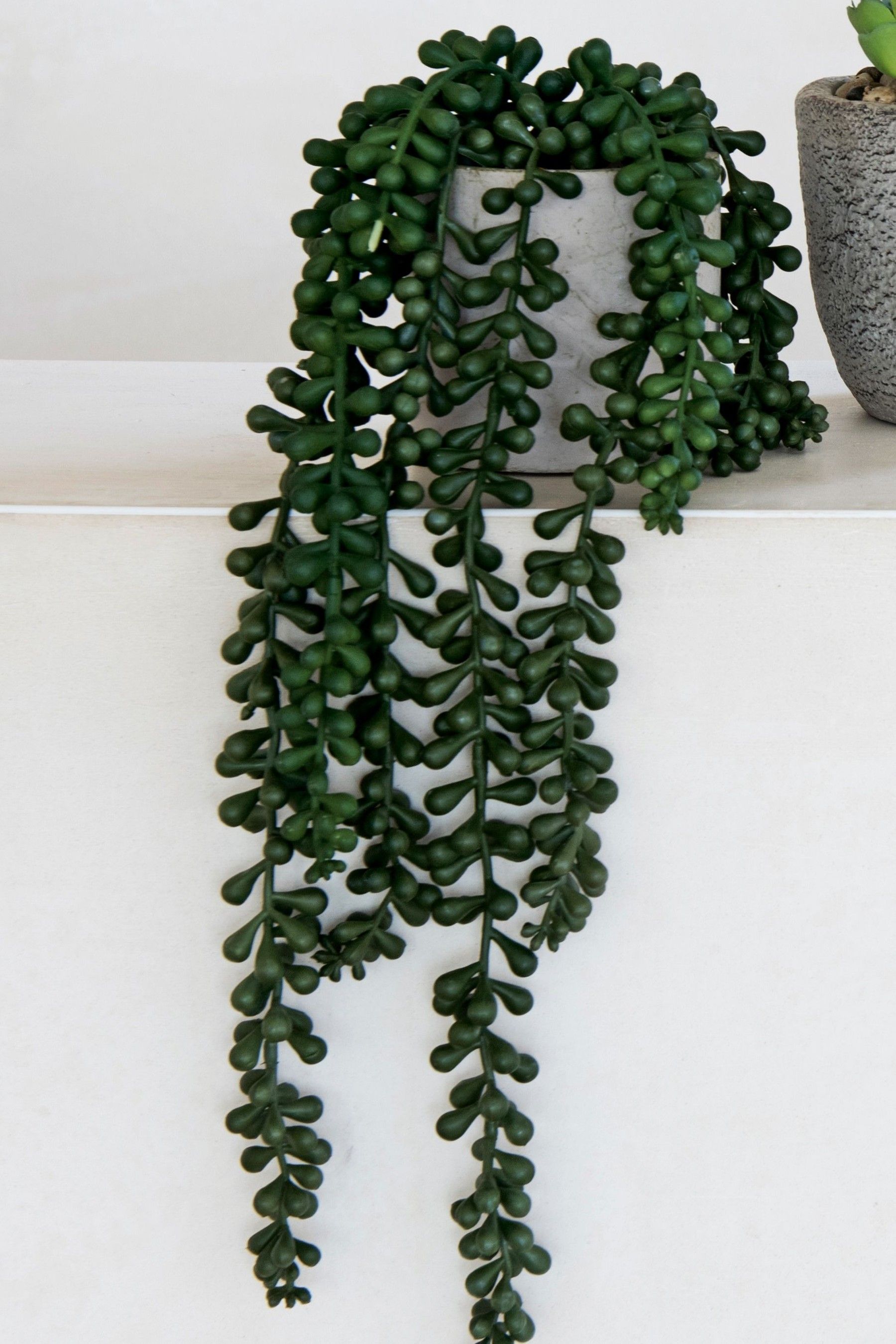 next trailing succulent plant green fake plants decor artificial hanging succulents cheap wire baskets