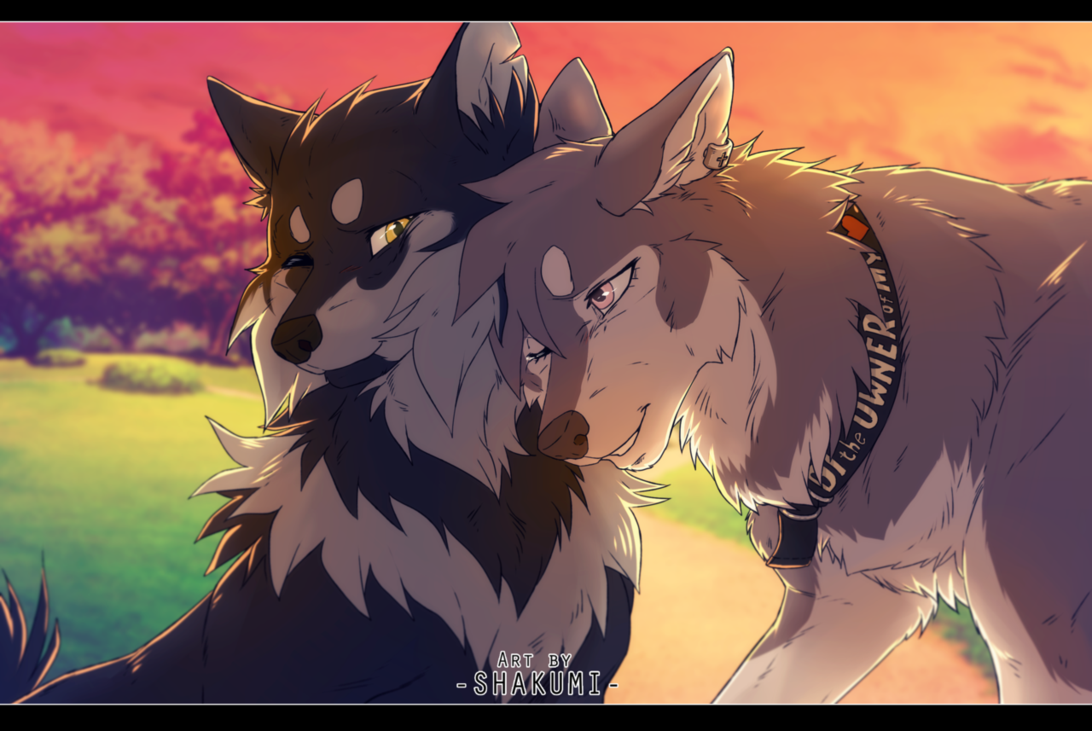 I love you by SHAKUMl.deviantart.com on @DeviantArt | Anime wolf, Cute ...