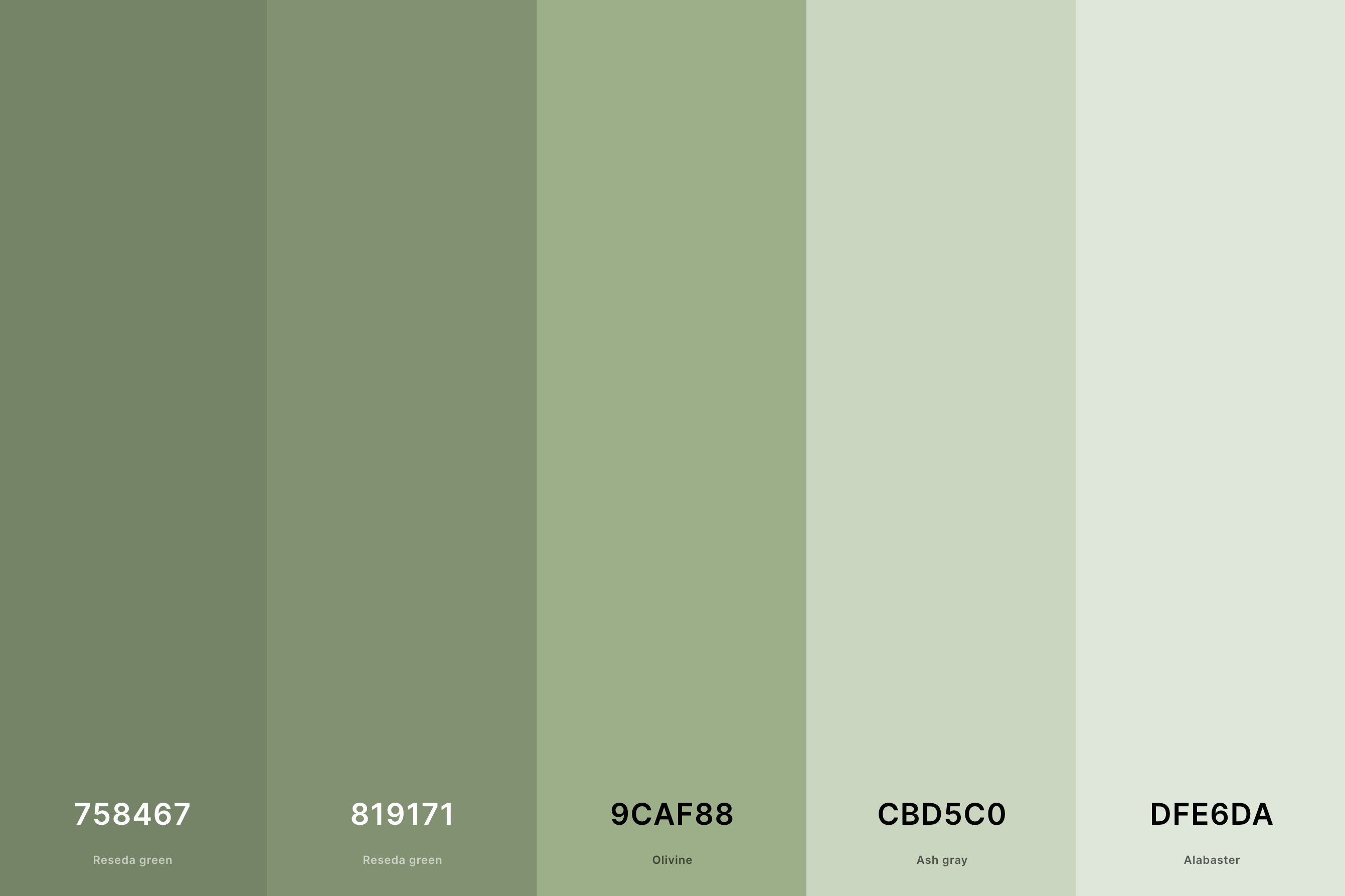 35+ Best Green Color Palettes with Names and Hex Codes in 2023 | Green ...