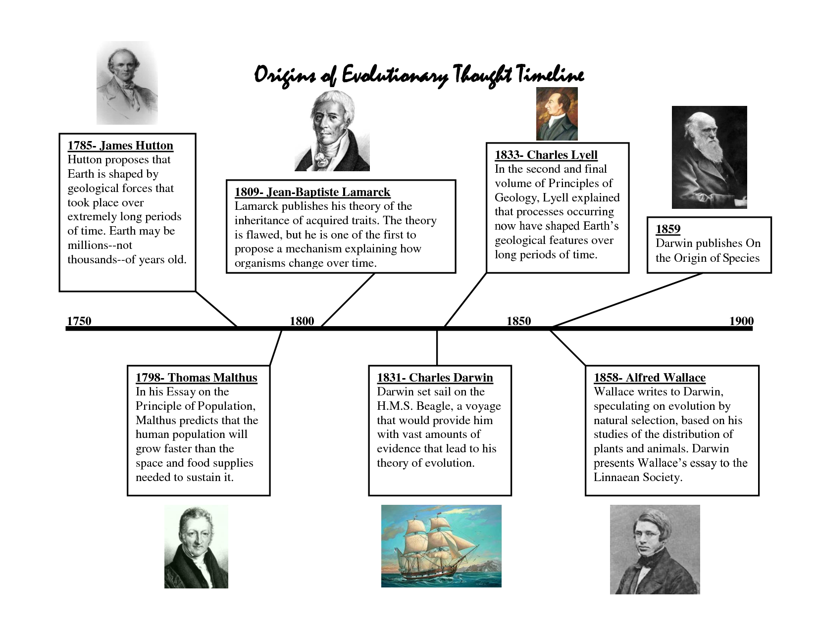 timeline of psychology theories | Theory of evolution, Evolution ...