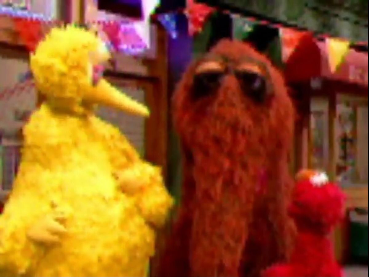 Elmo, Big Bird, and Snuffy | Epic fail pictures, Picture fails, Big bird