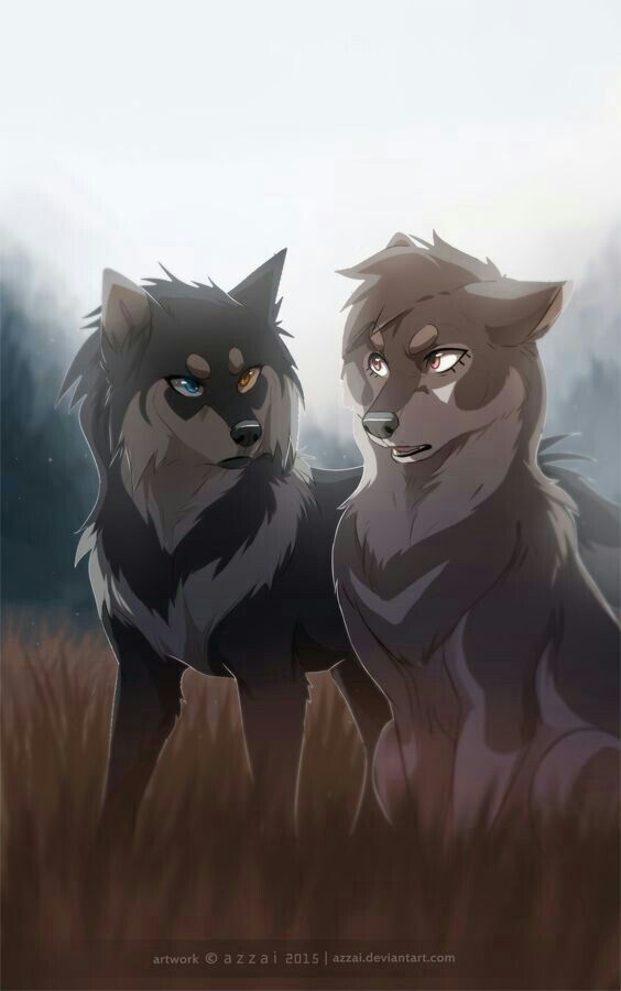 Husk and shaker Anime Wolf Drawing, Furry Drawing, Dog Drawing, Anime ...