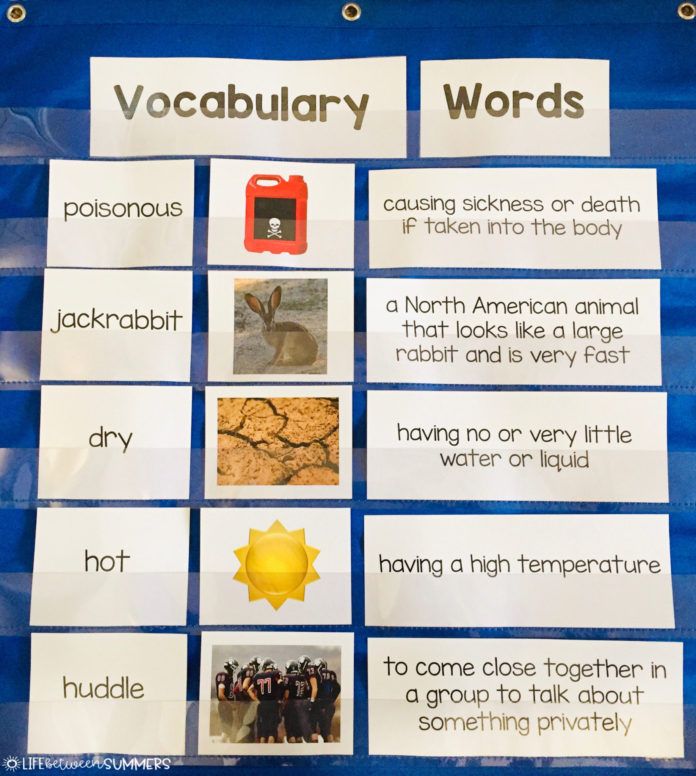 5 Engaging Strategies for Teaching Vocabulary Words - Life Between ...