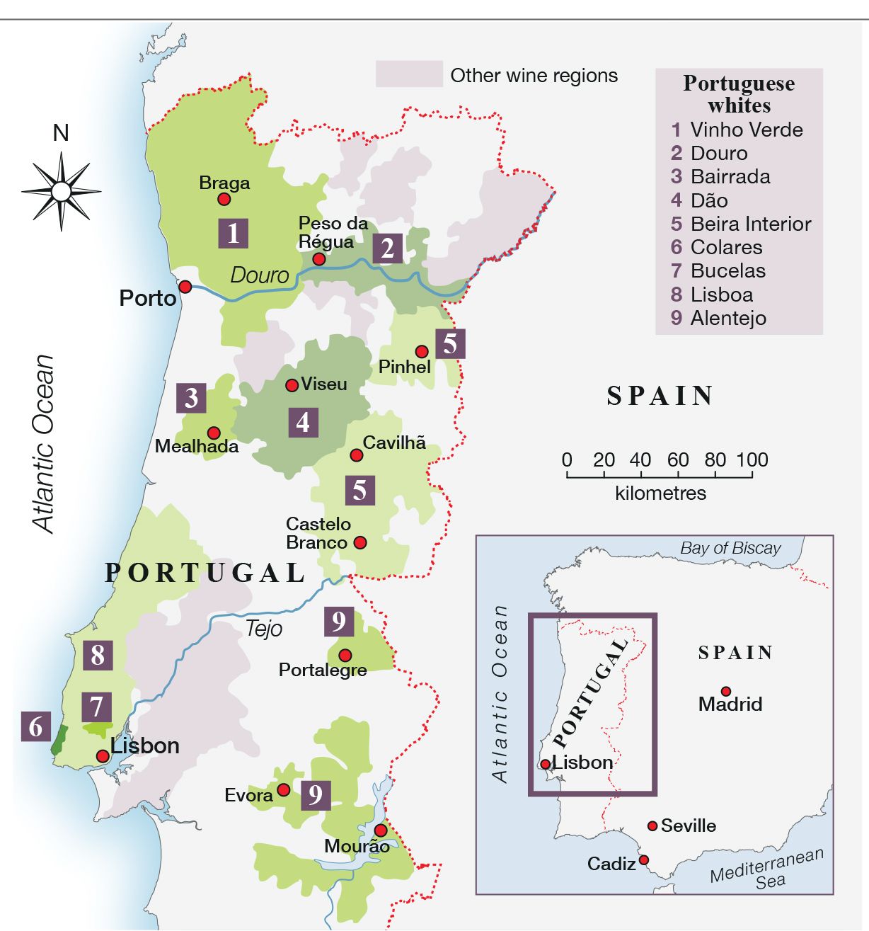 Portugal: whites to excite | Wine map, Wine pics, Wine education