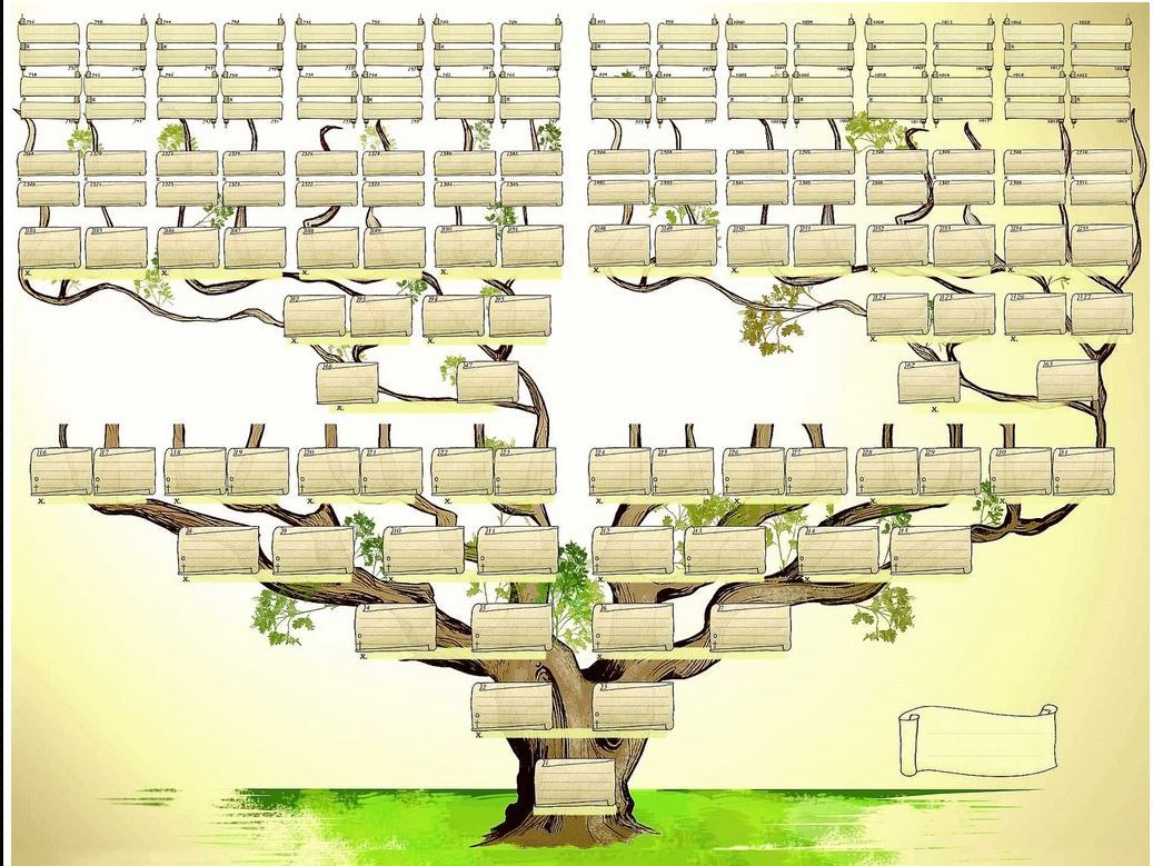 Arbre Genealogique Vierge