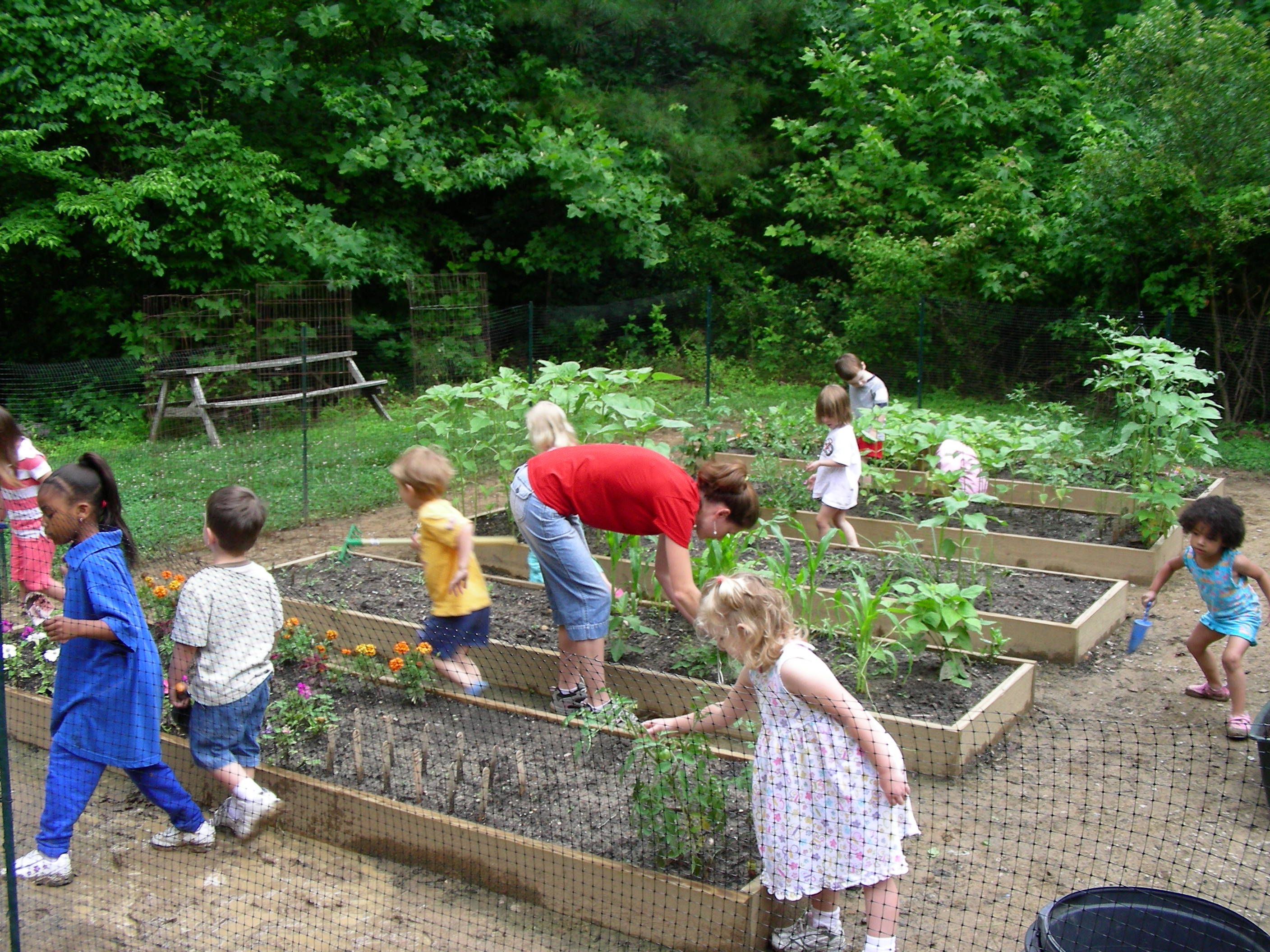 Pin on School Gardens