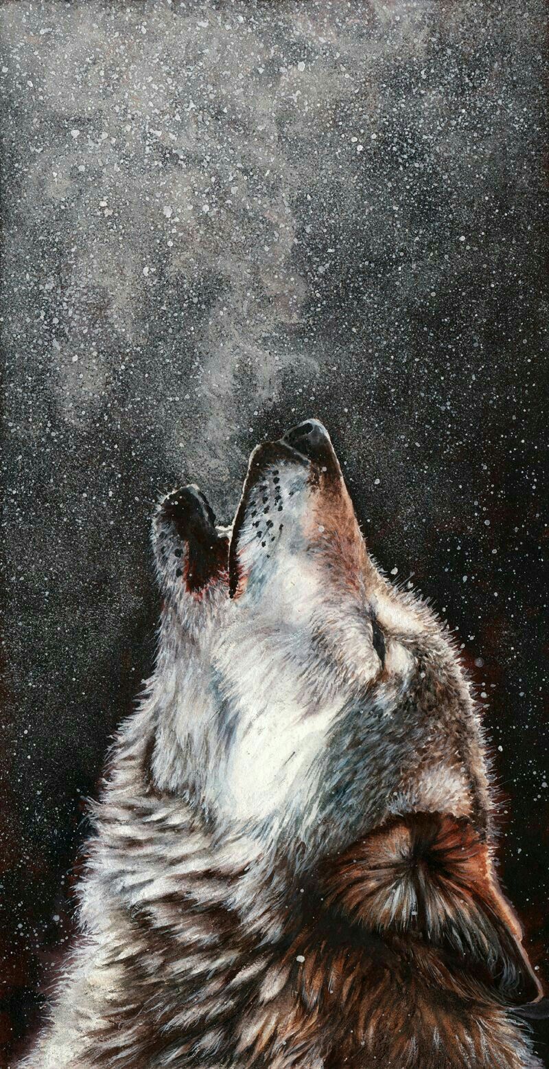 Wolf Spirit, Spirit Animal, Beautiful Wolves, Animals Beautiful, Wolf ...