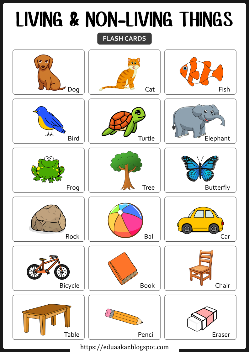 Free Worksheets and Flashcards on Living and Non-Living Things for Kids ...