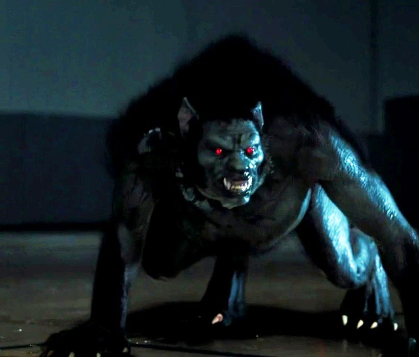 Alpha Werewolf Teen Wolf