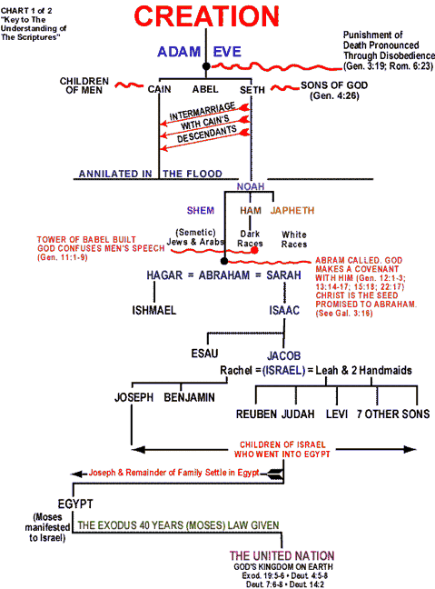 bible outline chart | creation chart continued all books booklets ...