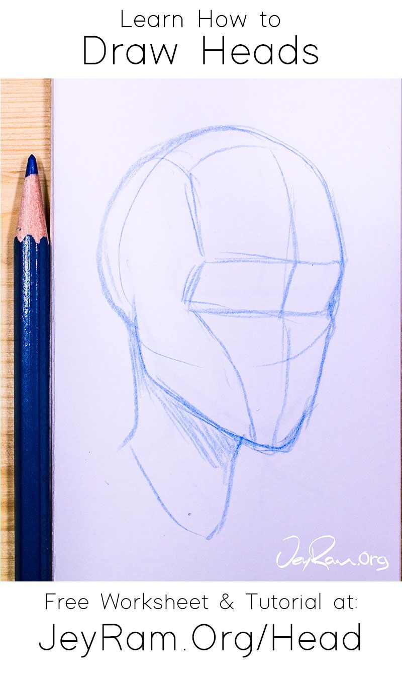 Learn how to draw the human head using this step by step process and ...