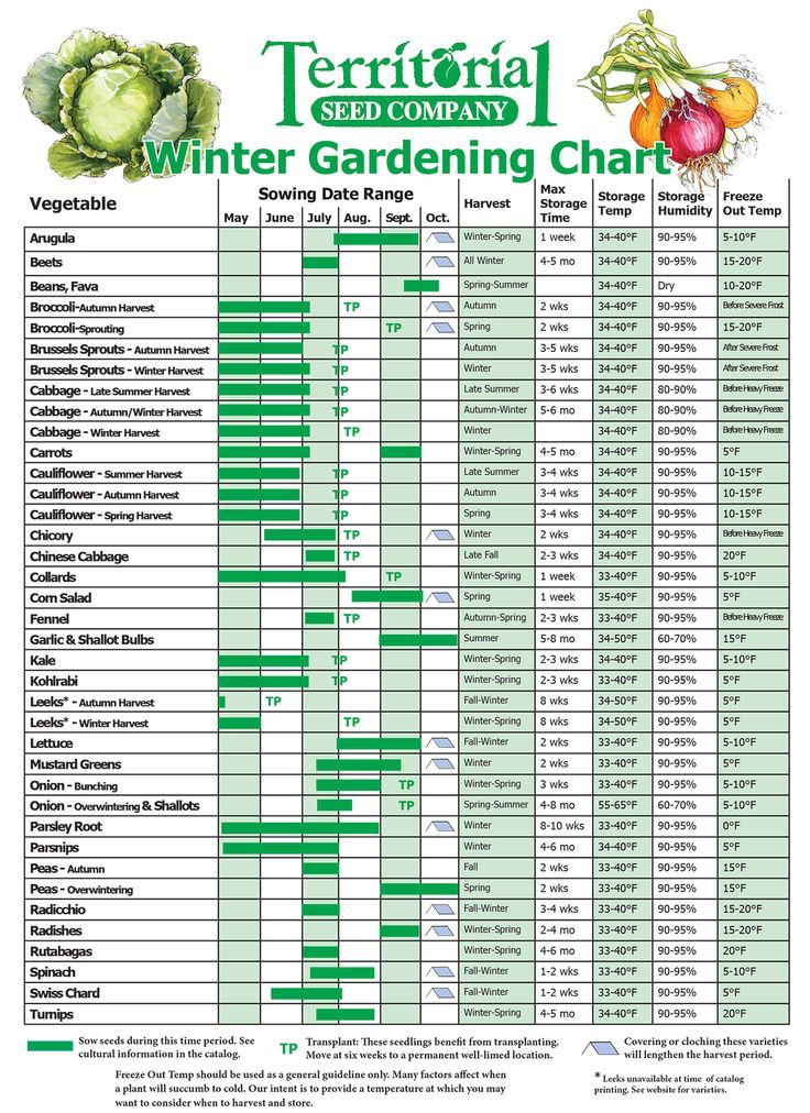 Winter Growing Chart | Territorial Seed | Fall garden vegetables ...