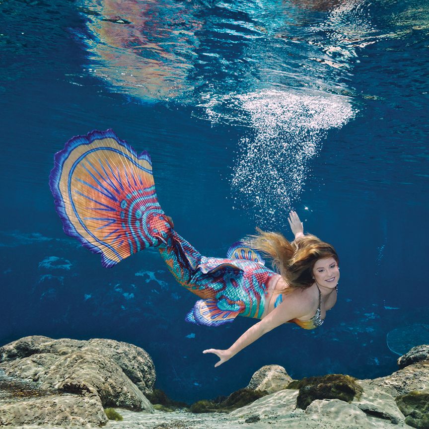 Pin by Becca Kathleen on My Mermaid Tail Plans | Mermaid photography ...