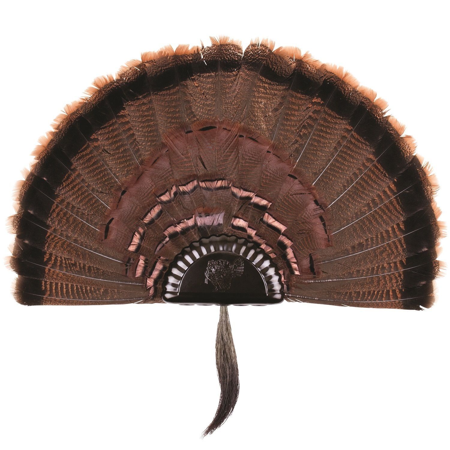 Hunting Decor and Accessories | Turkey fan, Hunting decor, Fan