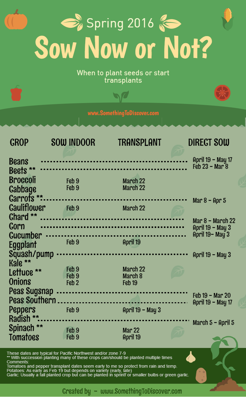 Seed starting chart for indoor or outdoor seeds and transplants | When ...