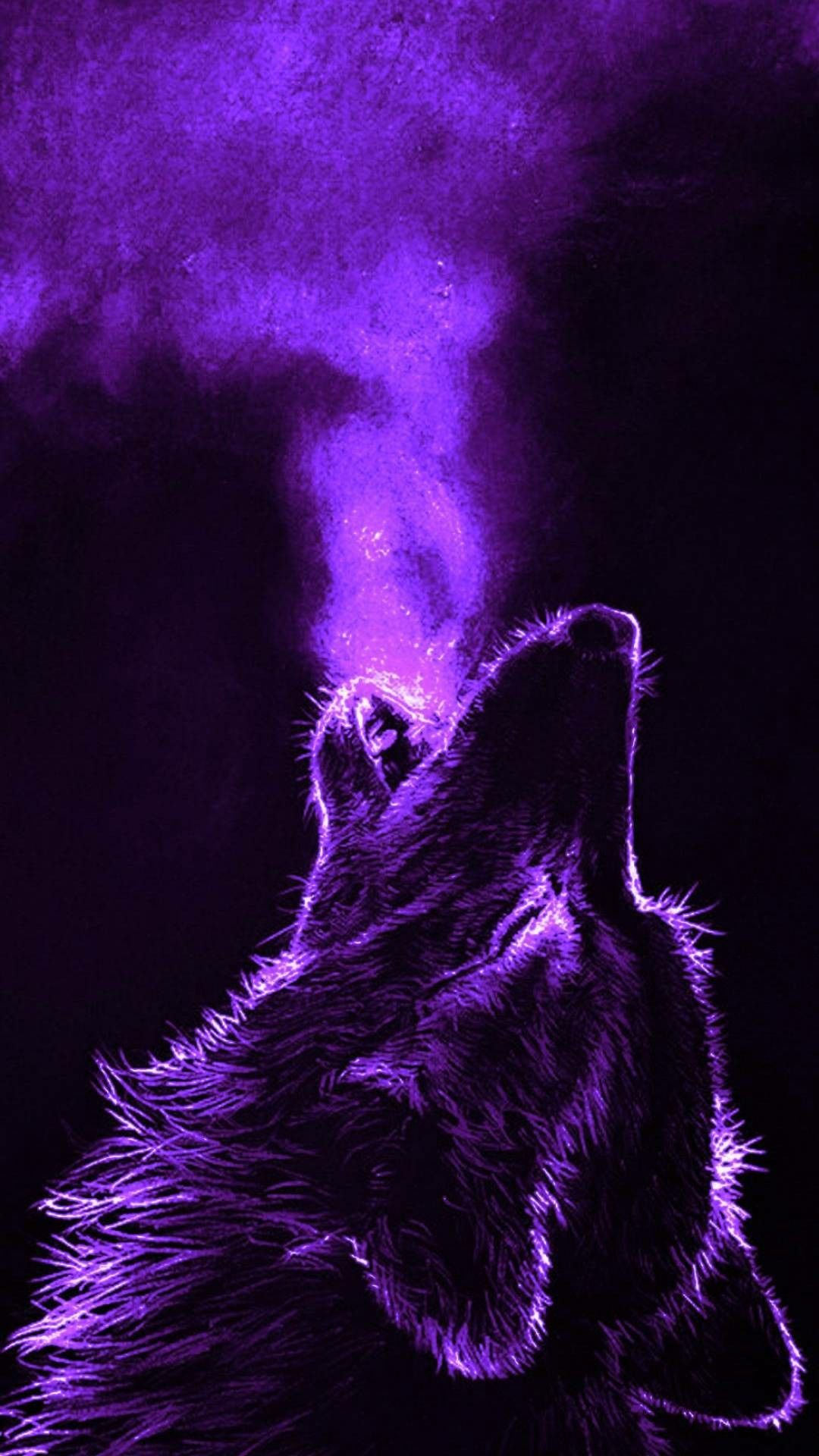 Purple Wolf Wild Animal Wallpaper, Wolf Wallpaper, Flower Wallpaper ...