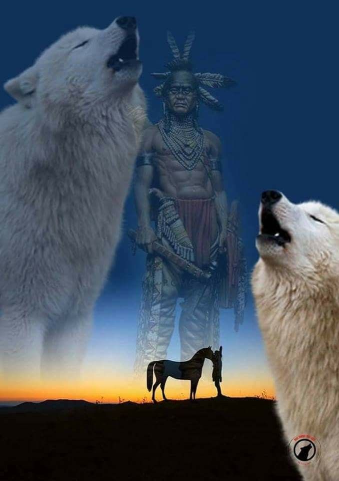 Pin by Angel Seeker on WOLVES | Native american prayers, Native ...