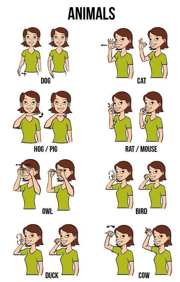 Free Printable Sign Language Words List