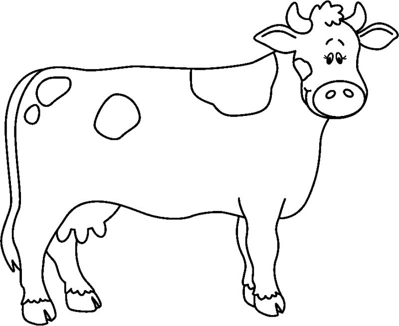 Cow clipart 6 | Cow clipart, Cow, Jersey cow