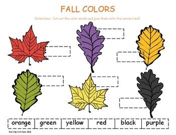 Fall Leaf Color Words | Autumn leaf color, Leaf coloring, Autumn leaves