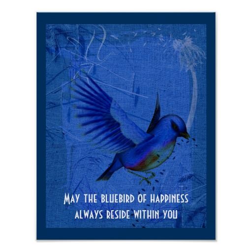 Bluebird Quotes Happiness