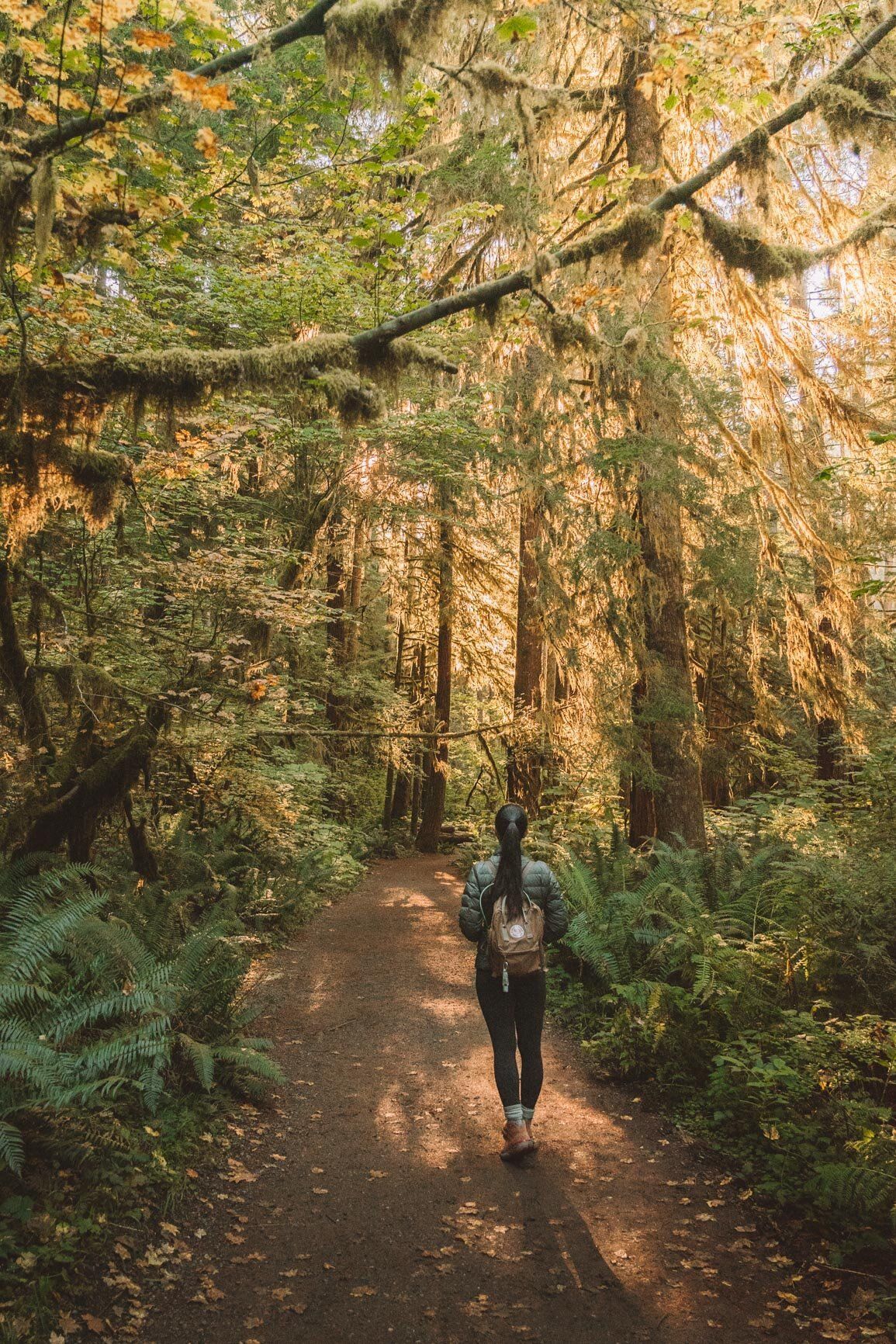 Ultimate Guide to Hiking Mount Storm King Trail Washington Storm King ...