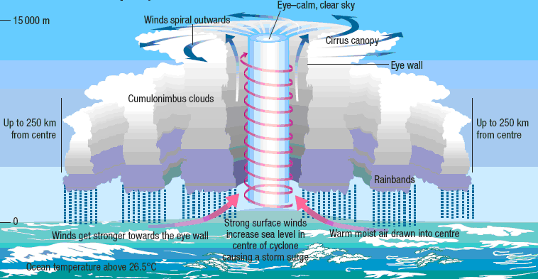 Tropical cyclone formation | Types of rainfall, Types of precipitation ...