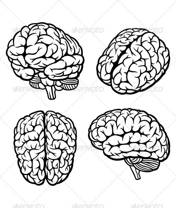 Arte Com Grey's Anatomy, Anatomy Art, Brain Vector, Human Vector, Brain ...