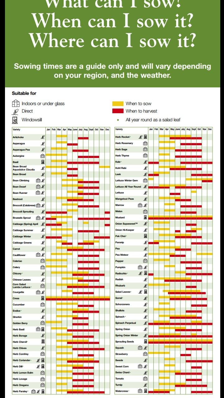 Soil Temp Chart For Planting Vegetables