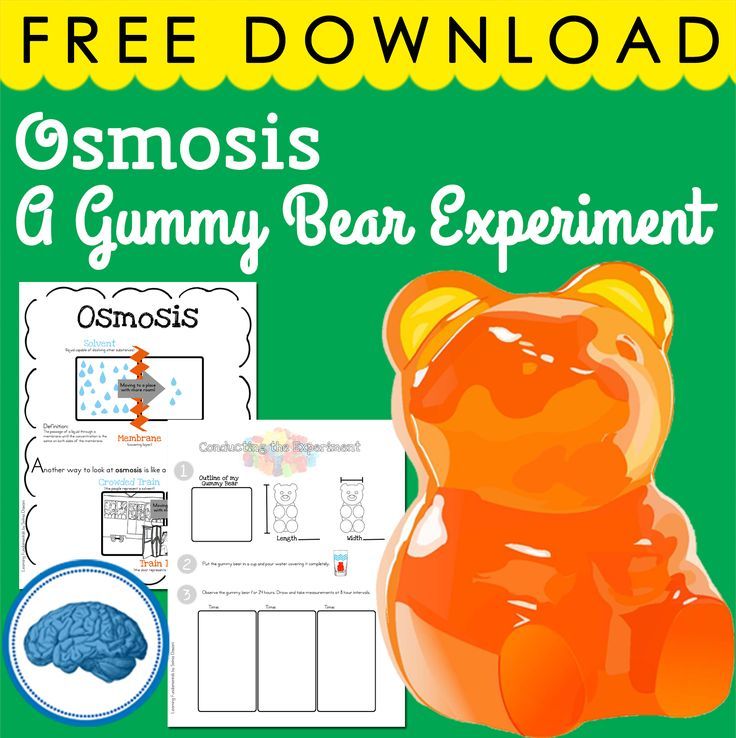 Gummy Bear Science Experiment - Osmosis #scienceforkids #osmosis Gummy ...