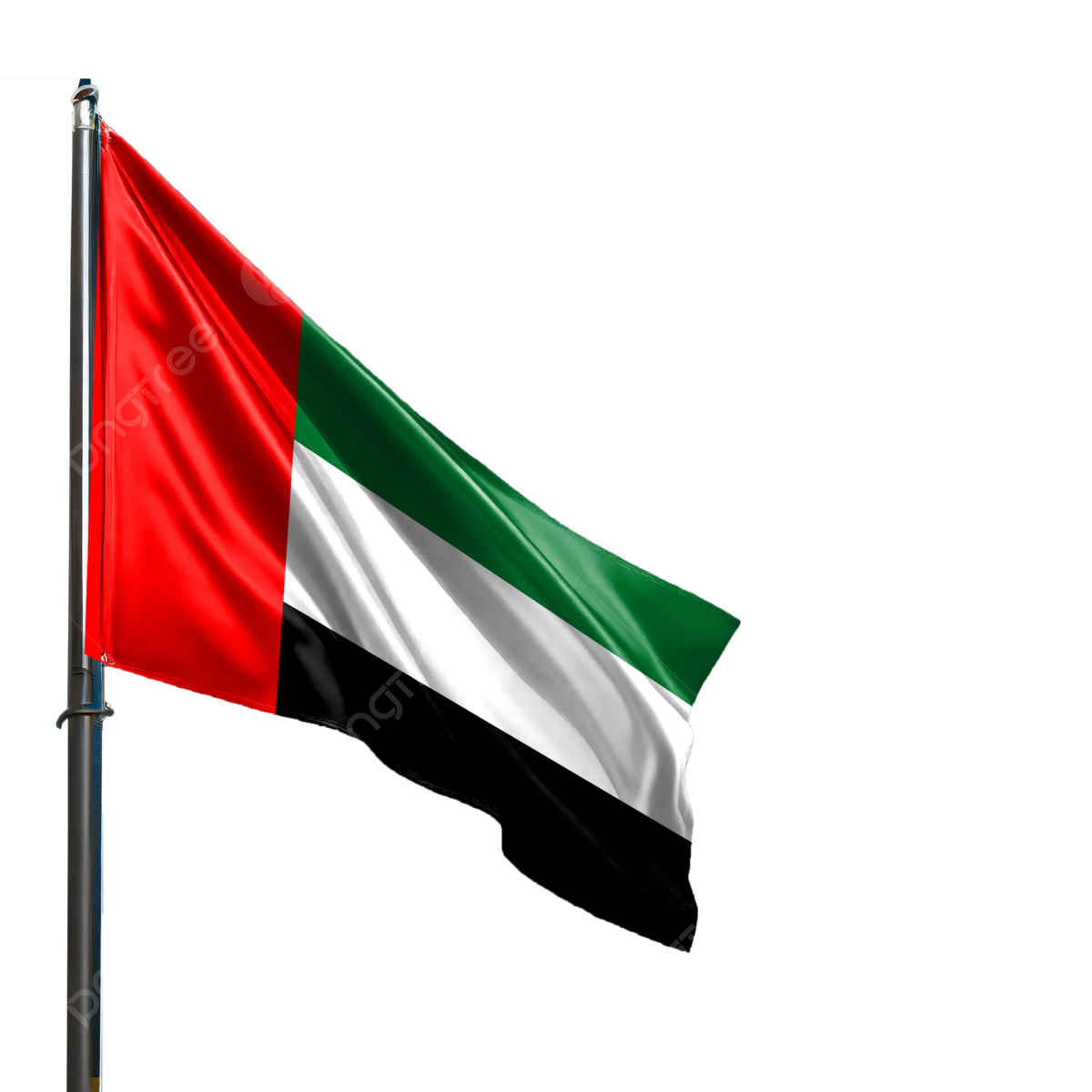 UAE National Flag Waving Hoisted - United Arab Emirates Flag