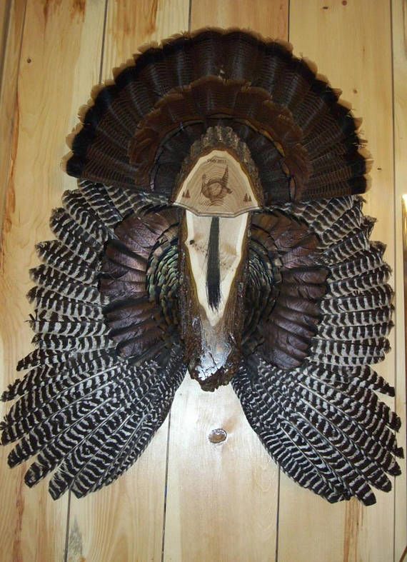 Turkey Hunting Turkey Fan Mount Turkey Fan Plaque Turkey Hunting Gift ...