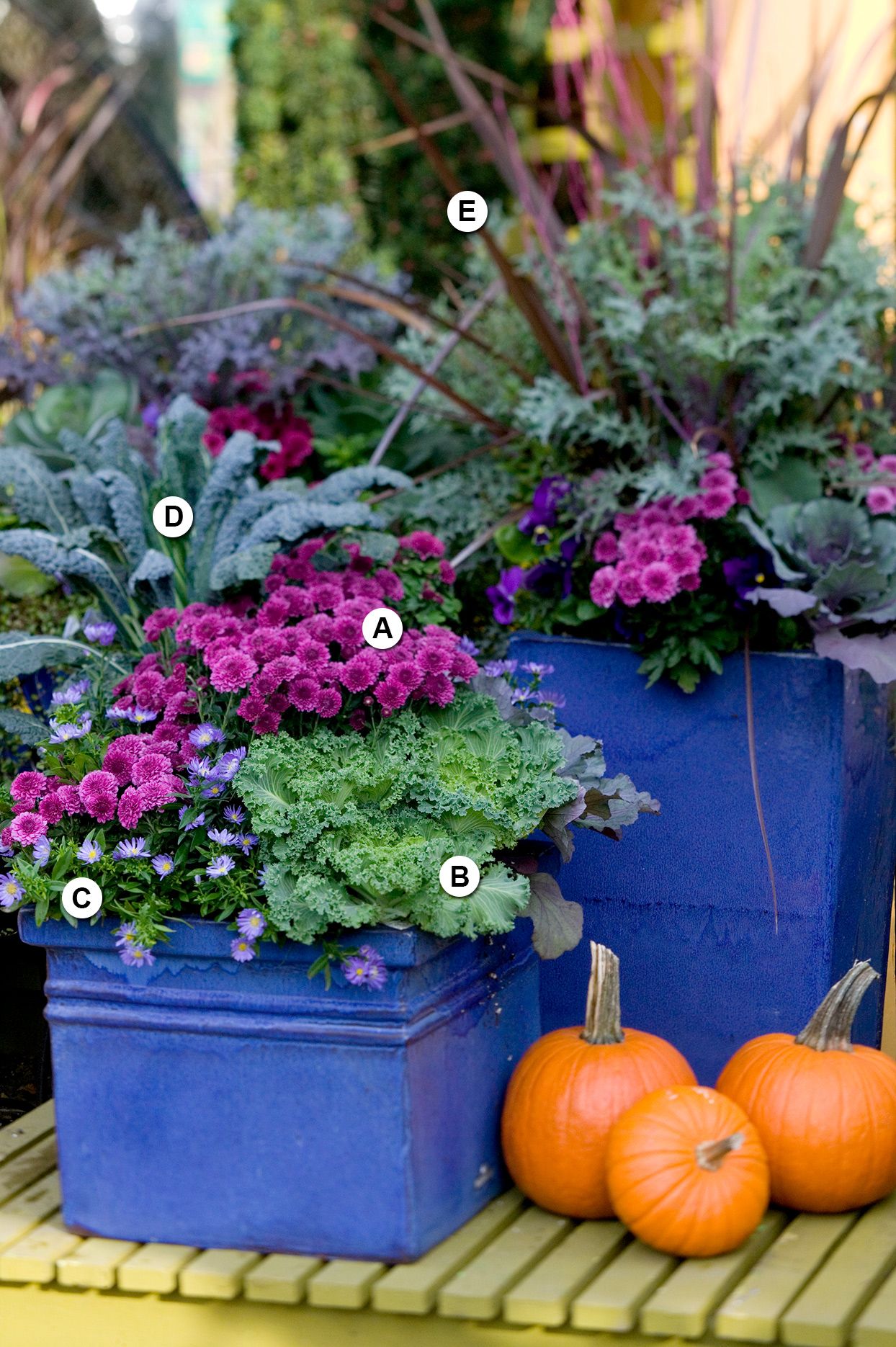 33 fall planter ideas for a colorful season long garden display – Artofit