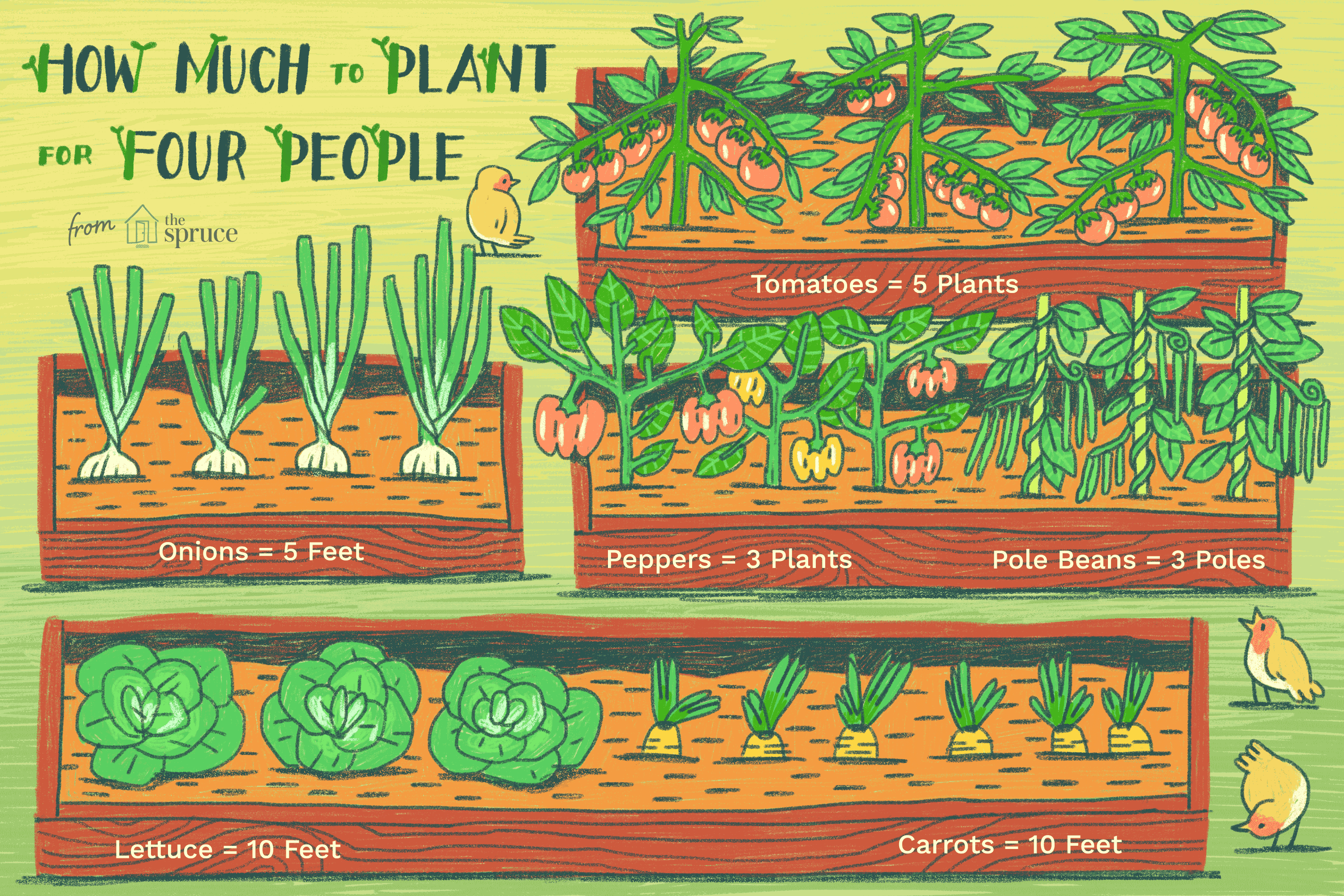 It's time to plan the vegetable garden, but how much should you plant ...