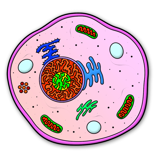 Cartoon Cell Step by Step Drawing Lesson Plant Cell Drawing, Animal ...