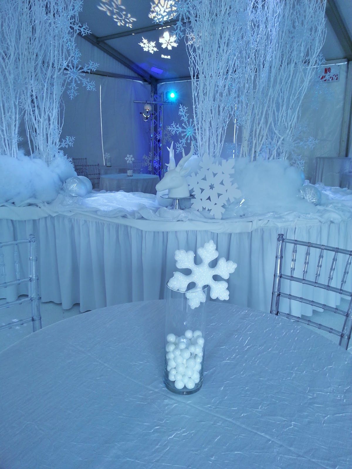 Setting the Mood Winter wonderland birthday, White party decorations