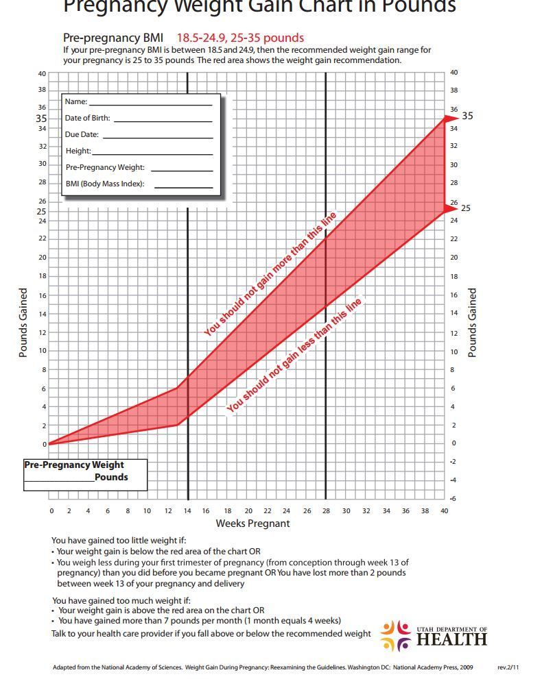 Pin on pregnancy weight gain