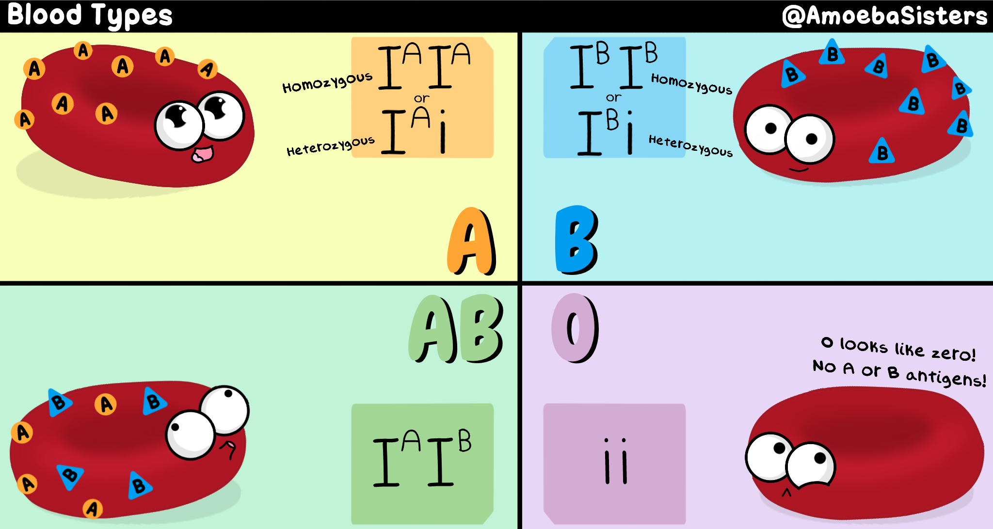 Blood Type Chart Genotypes