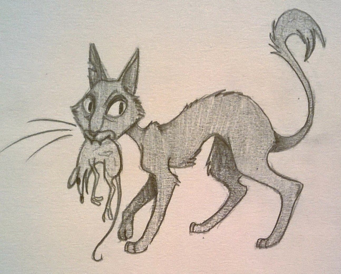 Coraline Cat Drawing - Drawing.rjuuc.edu.np