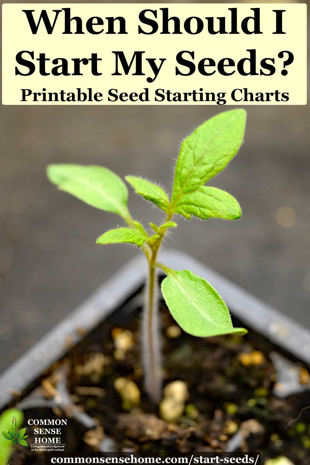 Printable Seed Starting Chart