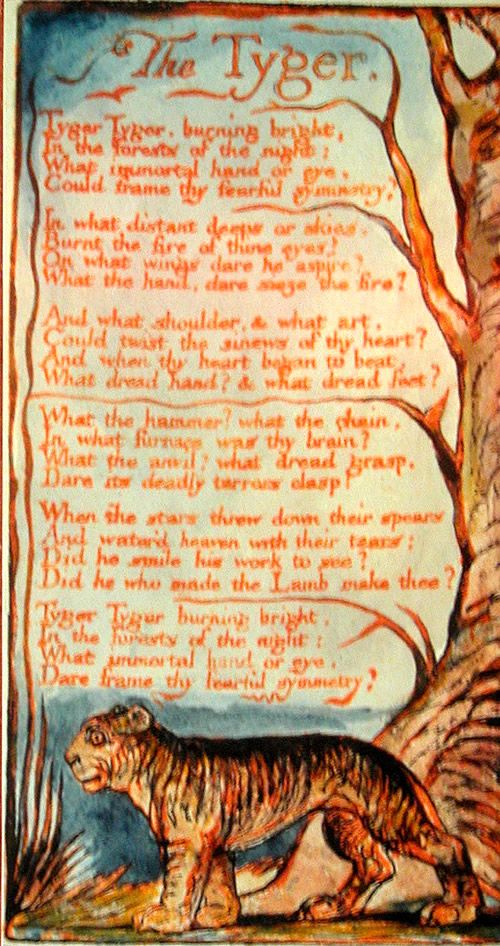 The Tyger westcorkcollegewords William blake, Songs of