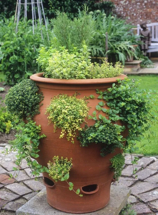 15+ Adorable Diy Container Herb Garden Design Ideas Fresh4Home