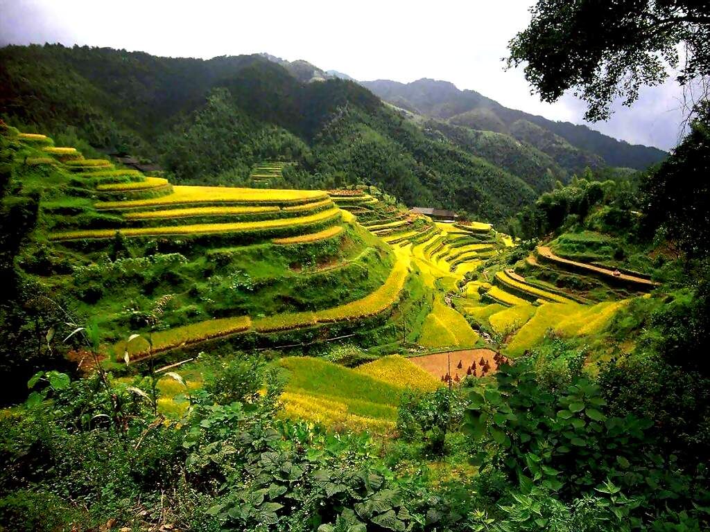 china rice terraces guangxi hd travel photos and wallpapers