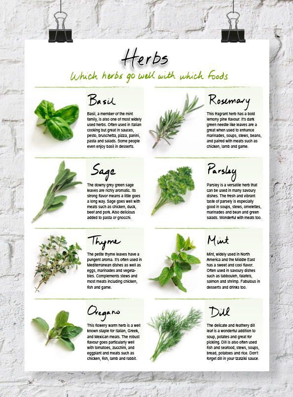 Handy Printable Herb Chart | Cooking herbs, Homemade cookbook, Recipe ...