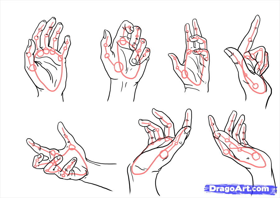 How To Draw Hands Free Worksheet Tutorial How To Draw - vrogue.co